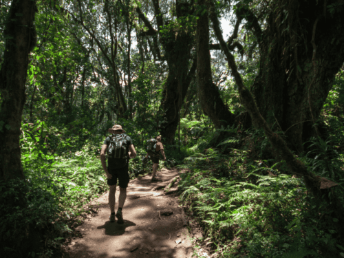 Trekkinghose Damen Test: Die 11 besten (Bestenliste)