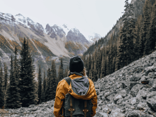 Wanderführer Schwarzwald Test: Die 11 besten (Bestenliste)